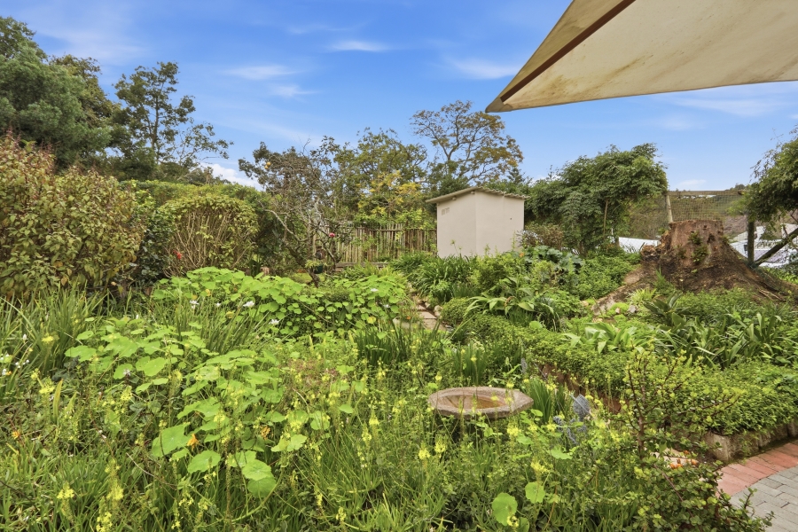 To Let 1 Bedroom Property for Rent in Knysna Central Western Cape